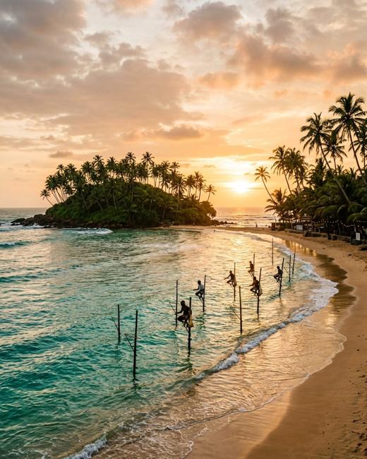 Palm-fringed crescent beach at Mirissa with turquoise shallows at golden hour